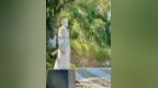 王立新｜南宋大儒张栻的家人和后人